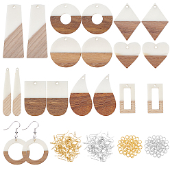 Mixed Color Earring Making Kits, Including Resin & Walnut Wood Pendants, Brass Earring Hooks, Brass Jump Rings, Mixed Shapes, Mixed Color, 44x7.5x3mm, Hole: 1.2mm