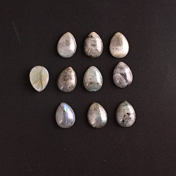 Teardrop Natural Labradorite Cabochons, Teardrop, 20x15mm