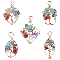 Mixed Stone 5Pcs 5 Style Natural Mixed Stone Pendants, Golden Tone Brass Wire Wrapped, Tree, Oval, Bottle, Heart & Rhombus, 1pc/style