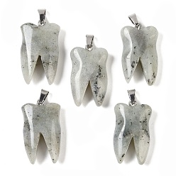 Лабрадорита Природные подвески лабрадорита, подвески для зубов с фурнитурой из нержавеющей стали цвета нержавеющей стали, 39.5~40x19~19.5x8~8.5 мм, отверстие : 3.5x6.5 мм
