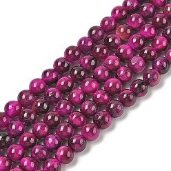 Средняя Орхидея Нити из натуральных бусин тигрового глаза высшего качества, окрашенная и подогревом, круглые, средне орхидеи, 6 мм, отверстие : 1.2 мм, около 61~64 шт / нитка, 14.69~15.24'' (37.3~38.7 см)