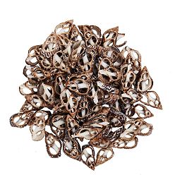 Sienna Natural Spiral Shell Beads, No Hole/Undrilled, Sienna, 14~22x8.5~12x3~4mm, 100pcs/box
