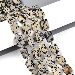 Далматинских Джаспер Природные яшмы далматин бисер нитей, прямоугольные, граненые, с бисером, 11.5~12x8x4~5 мм, отверстие : 0.9 мм, около 26~27 шт / нитка, 14.57~15.08'' (37~38.3 см)