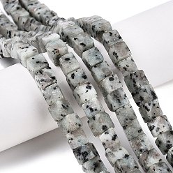 Джаспер Кунжут Натуральный кунжут яшма / киви нитки бусины яшмы, кубические, 8~8.5x8~8.5x8~9 мм, отверстие : 1.2 мм, около 47~49 шт / нитка, 15.35~15.79'' (39~40.1 см)