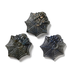 Spider Природные кабошон лабрадора, паук, 45~47x42.5~44x11.5~13.5 мм