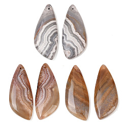 Натуральный Агат Природные мексиканские подвески Агат, лист прелести, 36.5~39x15.5~16x4.5~5 мм, отверстие : 1.2 мм