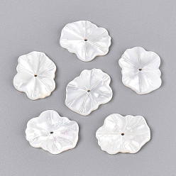 Белые Ракушки Бусины из натуральных белых ракушек в форме листьев, естественный пресноводный оболочки, 18x14x2 мм, отверстие : 1 мм
