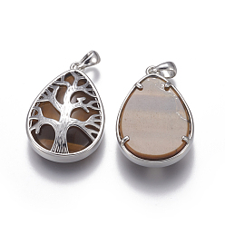 Tiger Eye Natural Tiger Eye Pendants, with Brass Findings, Teardrop with Tree of Life Charms, Platinum, 39x26x8mm, Hole: 4x6mm