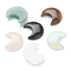 Смешанные камни Cmешанные подвески драгоценных камней, луна, 34~35x29~30x7.5~9 мм, отверстие : 1.2 мм