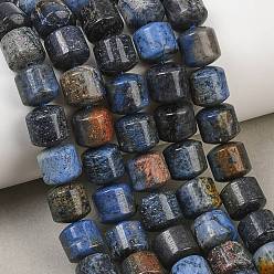 Dumortierite Natural Dumortierite Beads Strands, Column, 10x10mm, Hole: 1mm, about 39pcs/strand, 15.55''(39.5cm)
