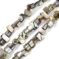 Шифер Серый Окрашенные естественных пресноводных стеклянные бусы нити, самородки, шифер серый, 7.5~9x9.5~15x5~9 мм, отверстие : 0.9 мм, около 42~50 шт / нитка, 14.45''~14.76'' (36.7~37.5 см)