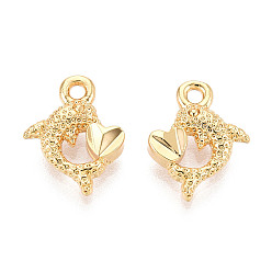 Dolphin Латунь прелести, долговечный, без никеля , реальный 18 k позолоченный, дельфин, 12.5x10x3 мм, отверстие : 1.4 мм