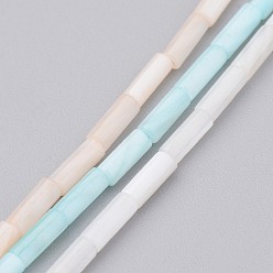 (52) Непрозрачная лаванда Природные оболочки нитей бисера, окрашенные, колонка, разноцветные, 6x2 мм, отверстие : 0.5 мм, около 67 шт / нитка, 15.2 дюйм