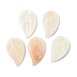 Античный Белый Резные подвески из натуральных пресноводных ракушек, лист прелести, старинный белый, 41.5~42x23.5~25.5x3.5 мм, отверстие : 1.6 мм