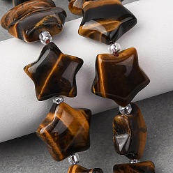 Тигровый глаз Природных тигровый глаз бисер нитей, звезда, с бисером, 15~15.5x16~16.5x6.5~7 мм, отверстие : 1.4 мм, около 25 шт / нитка, 15.75''~16.14'' (40~41 см)