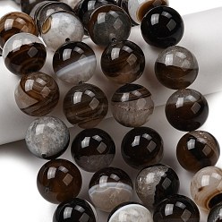 Коричневый Природный агат бисер нитей, окрашенная и подогревом, круглые, кофе, 15~16.5 мм, отверстие : 0.8 мм, около 25 шт / нитка, 15.55''~15.75" (39.5~40 см)