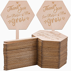 Hexagone 30étiquettes en bois pour plantes, marqueurs de jardin, étiquettes de plantes, pour mini marqueurs de serre de jardin, hexagone, 99.5x52.5x1.5mm