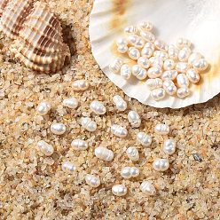 Морская Ракушка 10шт. натуральные пресноводные жемчужные бусины, барокко кеши жемчужные рисовые бусины, цвет морской раковины, 3~5x3~3.5 мм, отверстие : 0.7~0.8 мм