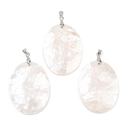 Морская Ракушка Натуральный белый оболочки подвески, овальные подвески с латунными дужками, платина, стойки покрытие, цвет морской раковины, 40x30.5x4.5 мм, отверстие : 4.5x3.5 мм