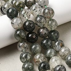 Fuchsite Бусины из натурального фуксита, круглые, 12 мм, отверстие : 1 мм, около 32 шт / нитка, 14.96 дюйм (38 см)