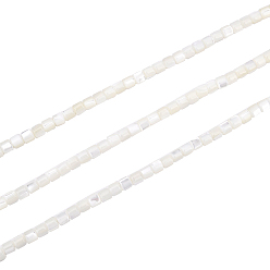 Seashell Color 3 Strands Natural Trochid Shell/Trochus Shell Beads Strands, Bleach, Column, Seashell Color, 3.5x3.5mm, Hole: 1mm, about 111~117pcs/strand, 15.35 inch~15.94 inch(39~40.5cm)