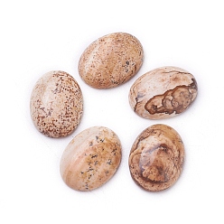 Пейзажный Джаспер Естественная картина яшма кабошоны, овальные, 16~16.5x12~12.5x3.5~5.5 мм