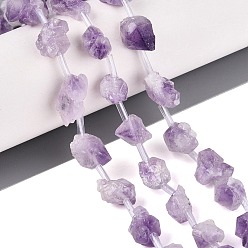 Amethyst Raw Rough Natural Amethyst Beads Strands, Nuggets, with Plastic Tube Beads, 9~21x8~14x5~13mm, Hole: 1~1.2mm, about 25pcs/strand, 15.75~15.94 inch(40~40.5cm)