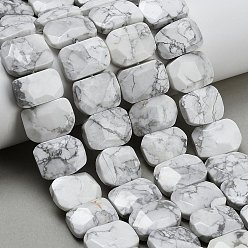 Говлит Природные Говлит бисер нитей, прямоугольные, граненые, 15x20x6 мм, отверстие : 1.5 мм, около 25 шт / нитка, 14.96 дюйм (38 см)