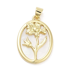 Настоящее золото 18K Стойки с латунными подвесками из ракушек, овал с цветочными подвесками, долговечный, без свинца и без кадмия, реальный 18 k позолоченный, 25x17.5x3 мм, отверстие : 5x3.5 мм