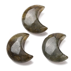Лабрадорита Природные лабрадорита бисер, 3d форма полумесяца, Топ пробуренной, 25~25.5x20~21x9~10.5 мм, отверстие : 2.5 мм