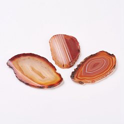 Chocolate Natural Slice Agate Cabochons, Nuggets, Dyed, Chocolate, 48~80x30~65x3~4mm