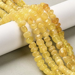 Янтарный Янтарные шарики нити, самородки, упавший камень, 5.5~8x5~6.5x4~5.5 мм, отверстие : 0.7 мм, около 61~71 шт / нитка, 14.17~14.37 дюйм (36~36.5 см)