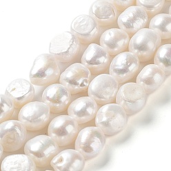 Seashell Color Natural Cultured Freshwater Pearl Beads Strands, Two Side Polished, Grade 4A, Seashell Color, 11~13x12~16x8~9mm, Hole: 0.6mm, about 27~28pcs/strand, 14.96''(38~39cm)