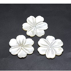 Coquillage Blanc Fleurs naturelles perles de coquillage blanc, perles en nacre, 45~50x2~2.5mm, Trou: 0.8mm