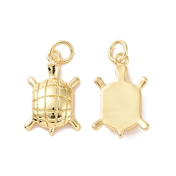 Настоящее золото 18K Стойки обшивки латунные подвески, с целью перехода в кольце, долговечный, без кадмия и без свинца, черепаха, реальный 18 k позолоченный, 19x12x3 мм, отверстие : 3 мм