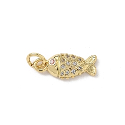 Настоящее золото 18K Латунные микро проложить кубического циркония подвески, рыбы прелести, стойки покрытие, без кадмия и без свинца, долговечный, океанские темы, с целью перехода в кольце, реальный 18 k позолоченный, 16.5x7x3 мм, отверстие : 3.5 мм