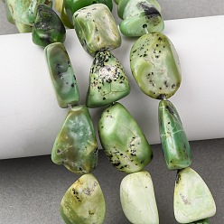 Змеевик Природные серпантину нитей бисера, самородки, 11~25x8~18x3~17 мм, отверстие : 0.8 мм, около 20~25 шт / нитка, 14.96'' (38 см) ~ 15.75'' (40 см)