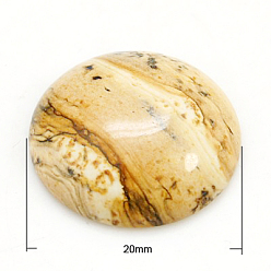 Пейзажный Джаспер Кабошоны из камня, полукруглые / купольные, картина яшма, 20x6 мм