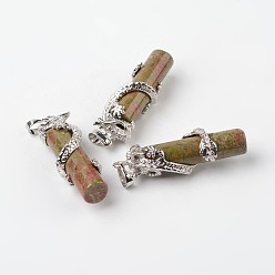 Унакит Трубные природные Unakite подвески, с латунной фурнитурой дракона , платина, 48x15x10 мм, отверстие : 7x5 мм