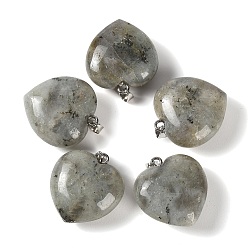 Labradorite Natural Labradorite Pendants, Heart Charms, with 304 Stainless Steel Snap on Bails, Stainless Steel Color, 32~33x30x14~15mm, Hole: 7.5x4mm