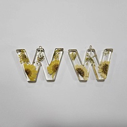 Letter W Подвески из прозрачной эпоксидной смолы, подвески-буквы с петлями, Буква W, 42.5x57.8x8 мм, отверстие : 2 мм