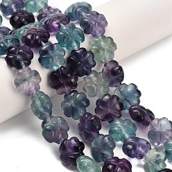 Флюорит Нити резных бусин из натурального флюорита, клевер, 12x12x6.5 мм, отверстие : 1 мм, около 35 шт / нитка, 15.91'' (40.4 см)