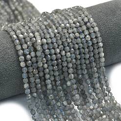 Лабрадорита Природные лабрадорита бисер нитей, энергетическая призматическая огранка с двойными концами бусины, граненые двухконусные, 4x4.5 мм, отверстие : 0.4 мм, около 83 шт / нитка, 14.96 дюйм (38 см)