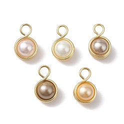 (52) Непрозрачная лаванда Подвески из круглой медной проволоки с ракушками и жемчугом, золотые, разноцветные, 16x10x8 мм, отверстие : 3.5 мм