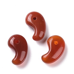 Красный Агат Природные сердолик подвески, прелести магатама, 20x13x7 мм, отверстие : 2 мм