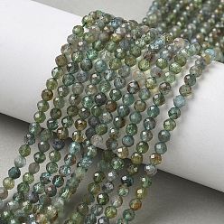 Апатит Естественный зеленый апатит бисер нити, граненые, круглые, 4 мм, отверстие : 0.7 мм, около 101 шт / нитка, 15.35'' (39 см)