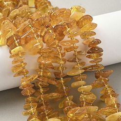 Янтарный Янтарные шарики нити, чип, с бисером, 11~19x11~14.5x2~6 мм, отверстие : 0.7 мм, 14.57 дюйм (37 см)