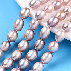 чертополох Нити из натурального культивированного пресноводного жемчуга, рис, чертополох, 9.5~12x7.5~8.2 мм, отверстие : 0.7~0.8 мм, около 33~37 шт / нитка, 14.37 дюйм (36.5 см)