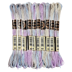 Лиловый 10 мотки 6-слойная полиэфирная нить для вышивания, нитки для вышивки крестом, сегмент окрашенный, сирень, 0.5 мм, около 8.75 ярдов (8 м) / моток