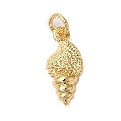 Настоящее золото 18K Стойки обшивки латунные подвески, с прыжковых колец, без кадмия и без свинца, долговечный, формы раковины, реальный 18 k позолоченный, 16.5x8x3.5 мм, отверстие : 3 мм